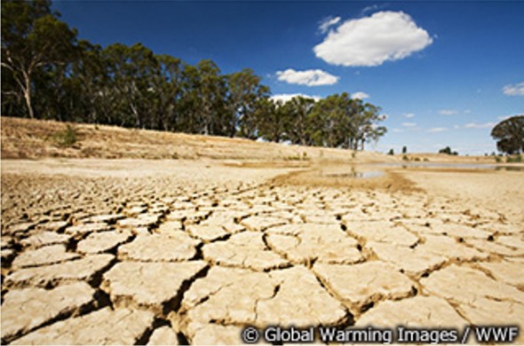 COP21-WWF1