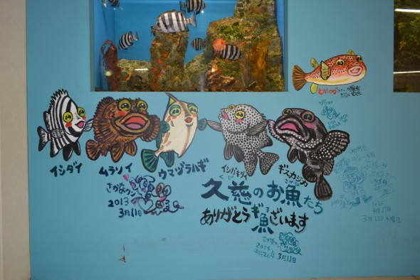 震災後は久慈駅前で「まちなか水族館」として運営されてきた「もぐらんぴあ」にさかなクンは自宅の魚100匹近くを寄贈するほか、壁画にイラストを描くなど、さまざまに応援してきた。（写真は「もぐらんぴあ」提供）