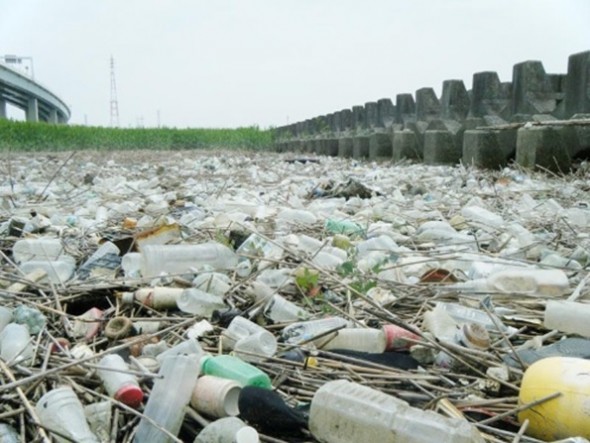 東京・荒川で見たプラスチック廃棄物の漂着物(高田教授提供)