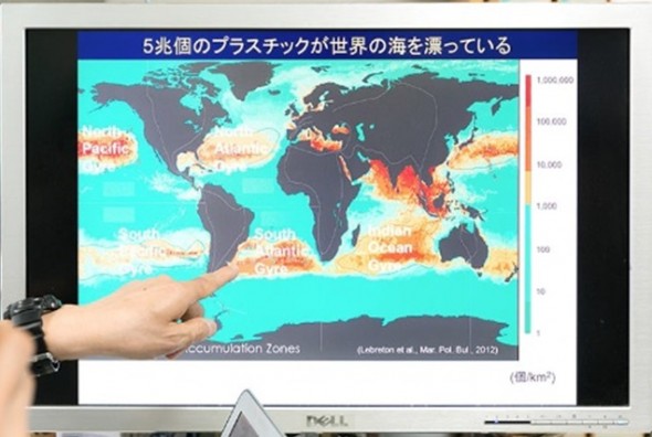 海に漂うマイクロプラスチック片 (高田教授提供)